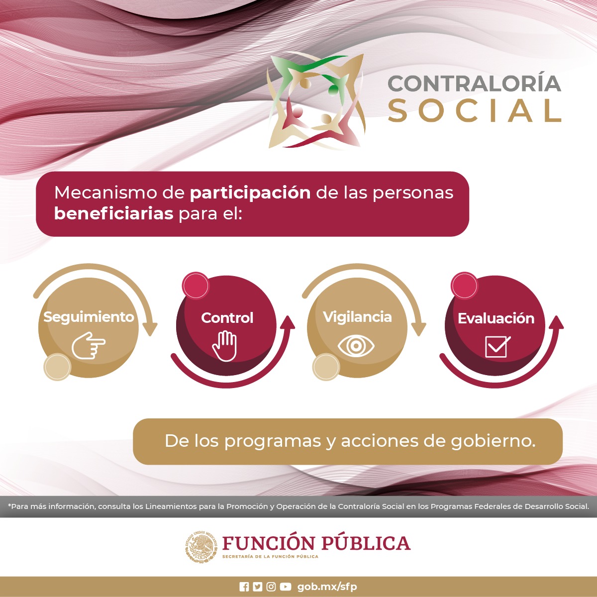 Mecanismos Contraloria Social